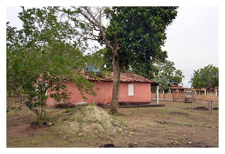 Fazenda à venda com 3 quartos, 21780m² - Foto 4