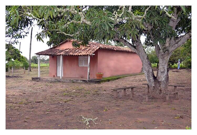 Fazenda à venda com 3 quartos, 21780m² - Foto 9