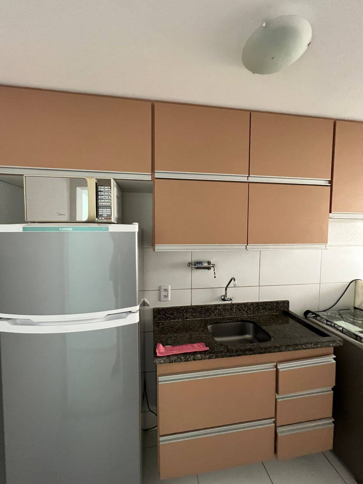 Apartamento para alugar com 2 quartos - Foto 3