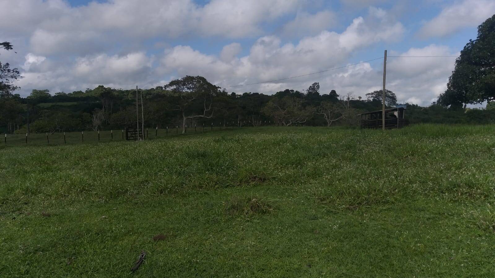 Terreno à venda com 3 quartos - Foto 2