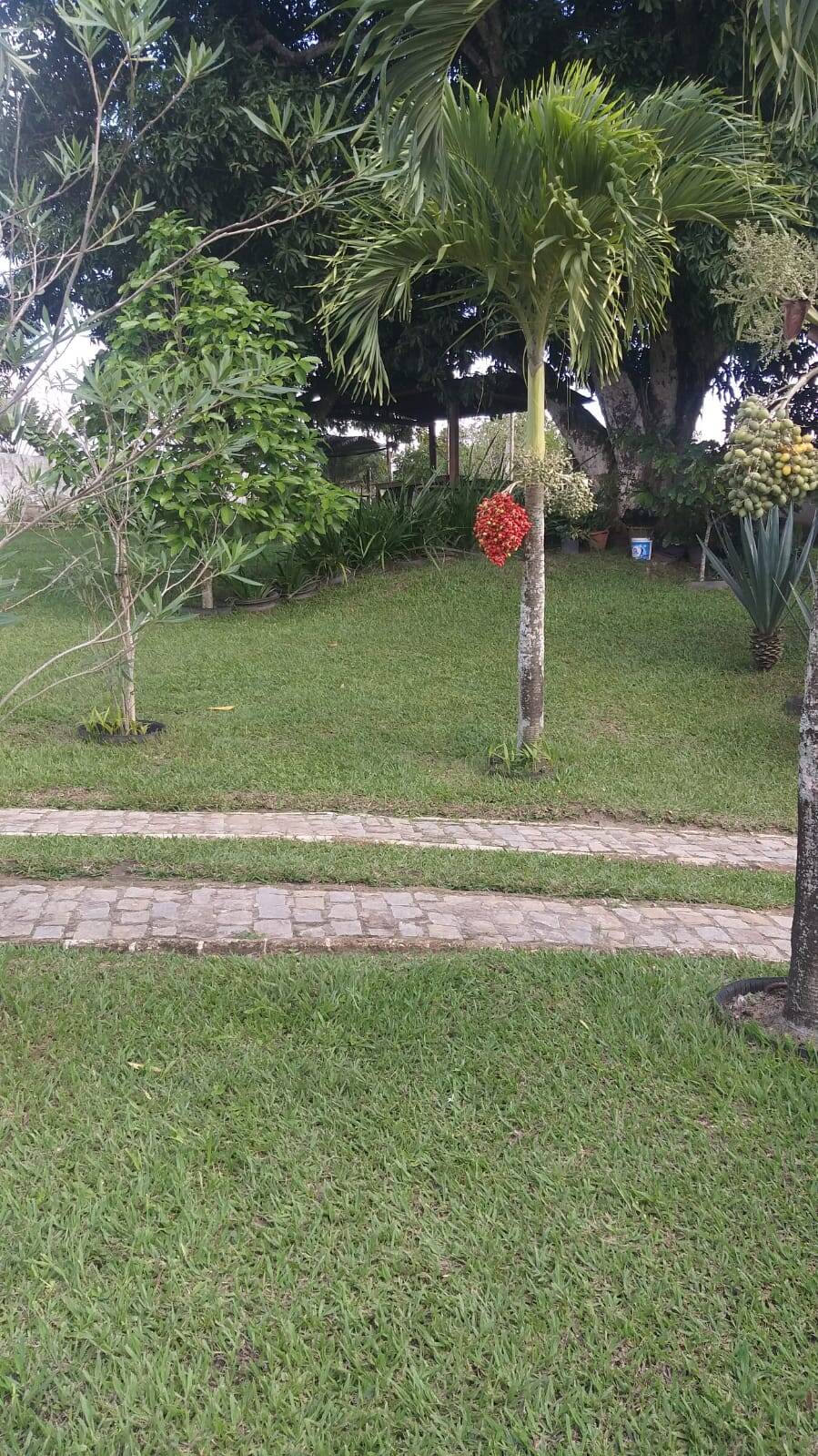 Terreno à venda com 3 quartos - Foto 6