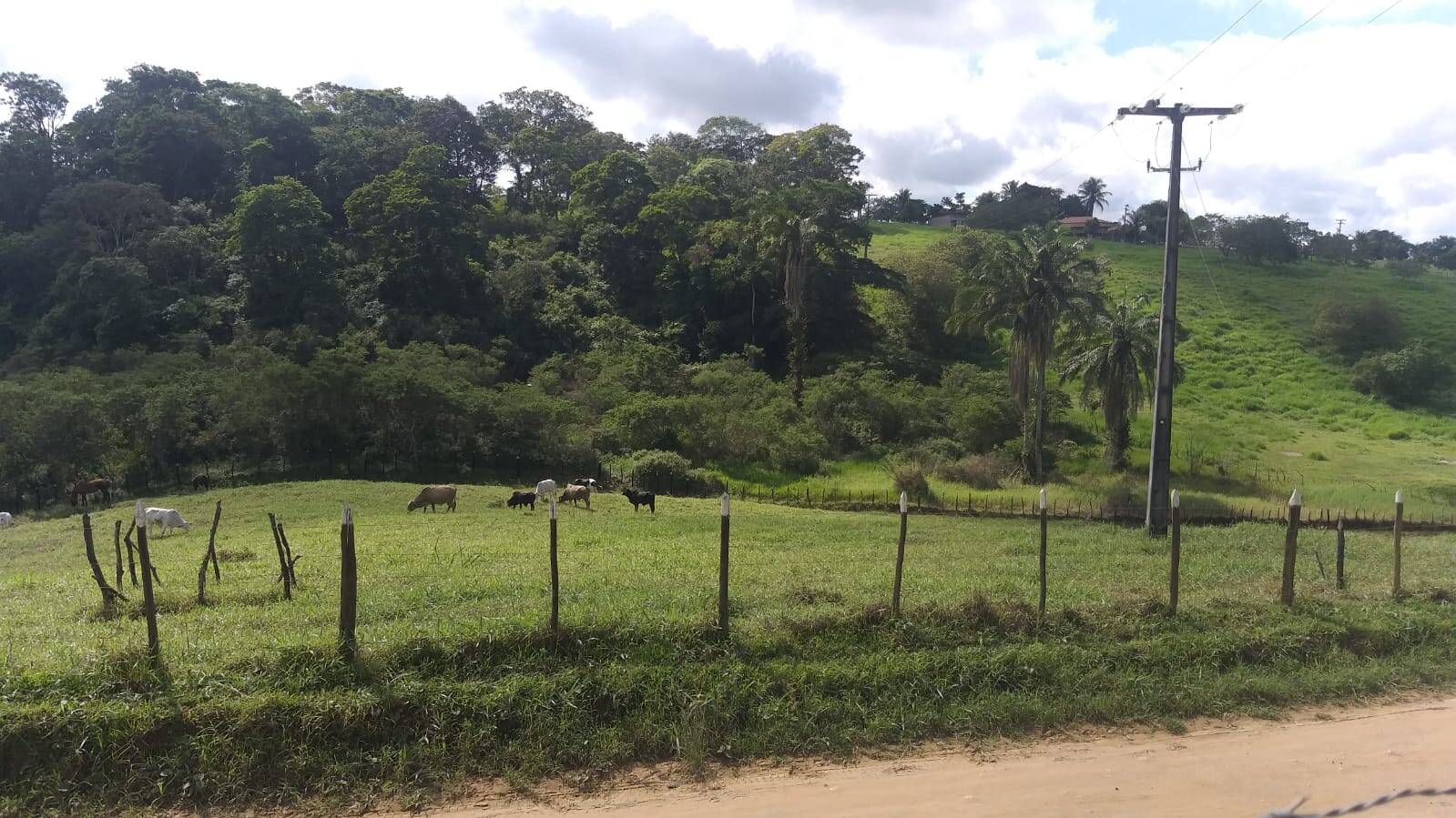 Terreno à venda com 3 quartos - Foto 10