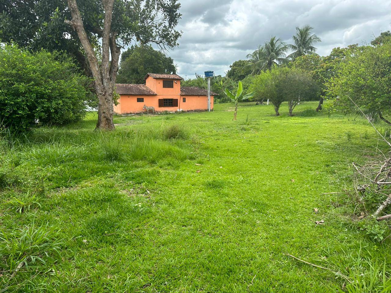 Fazenda à venda com 2 quartos, 4300m² - Foto 12