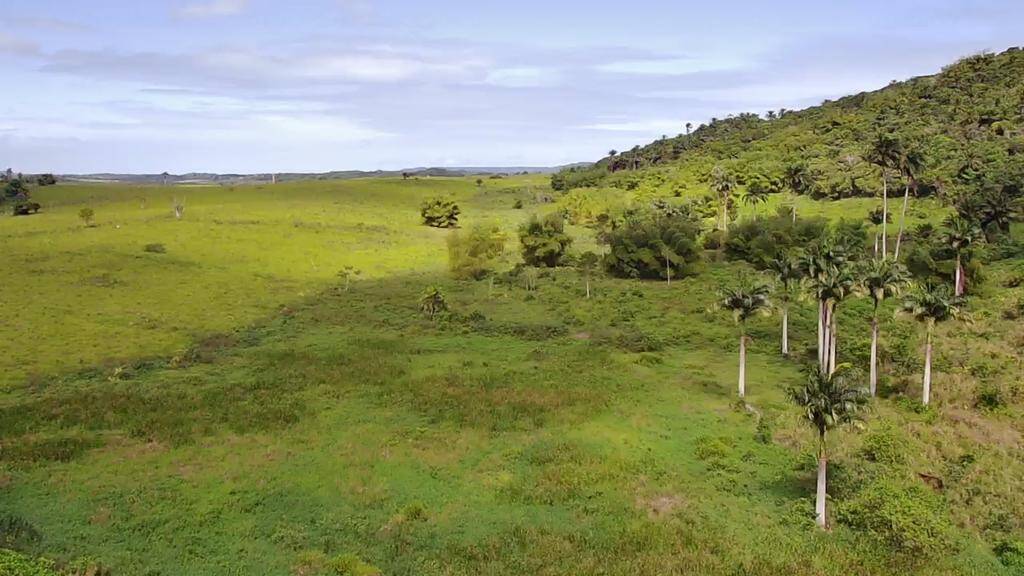 Terreno à venda, 67m² - Foto 1