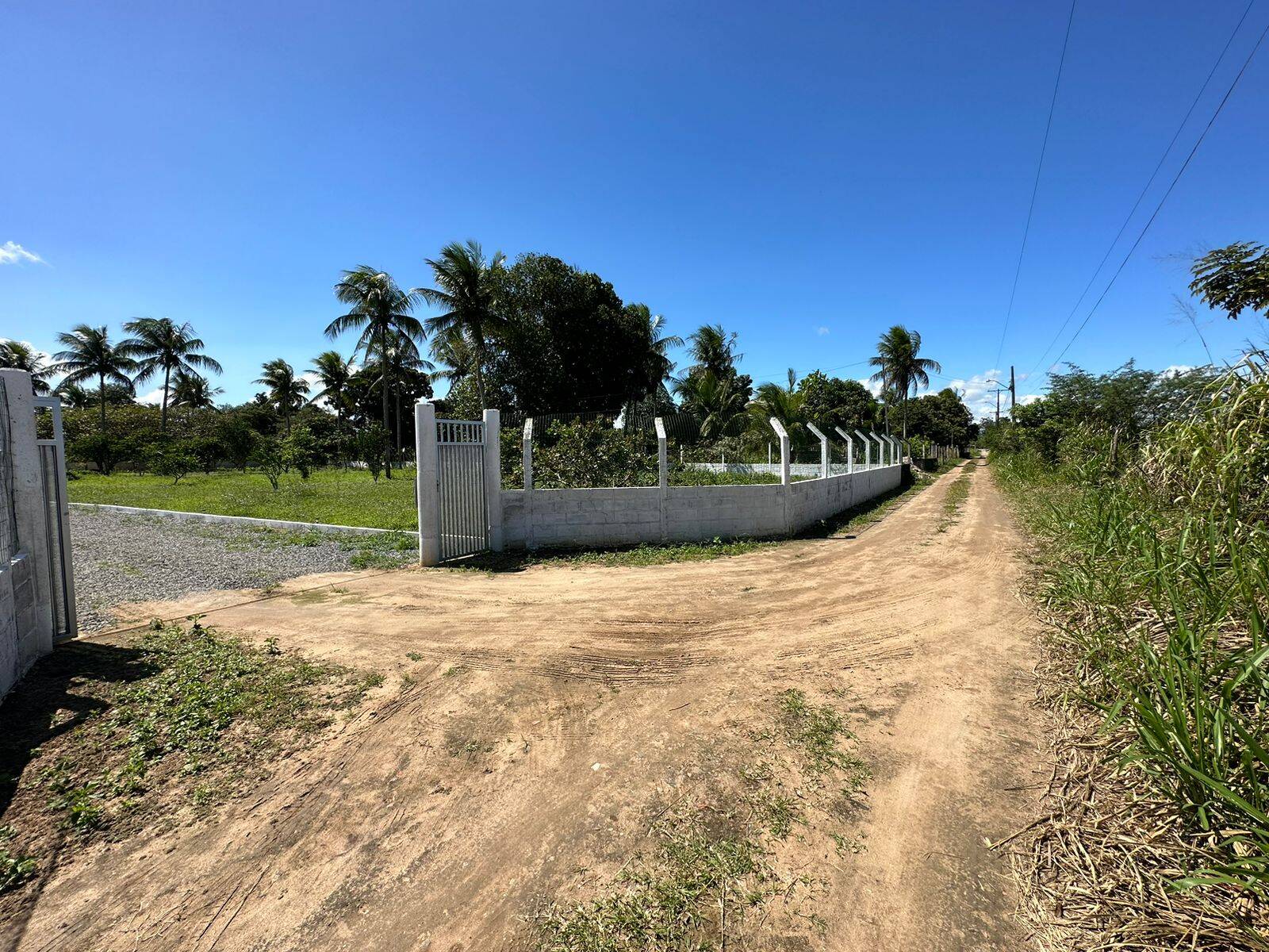 Terreno à venda - Foto 3