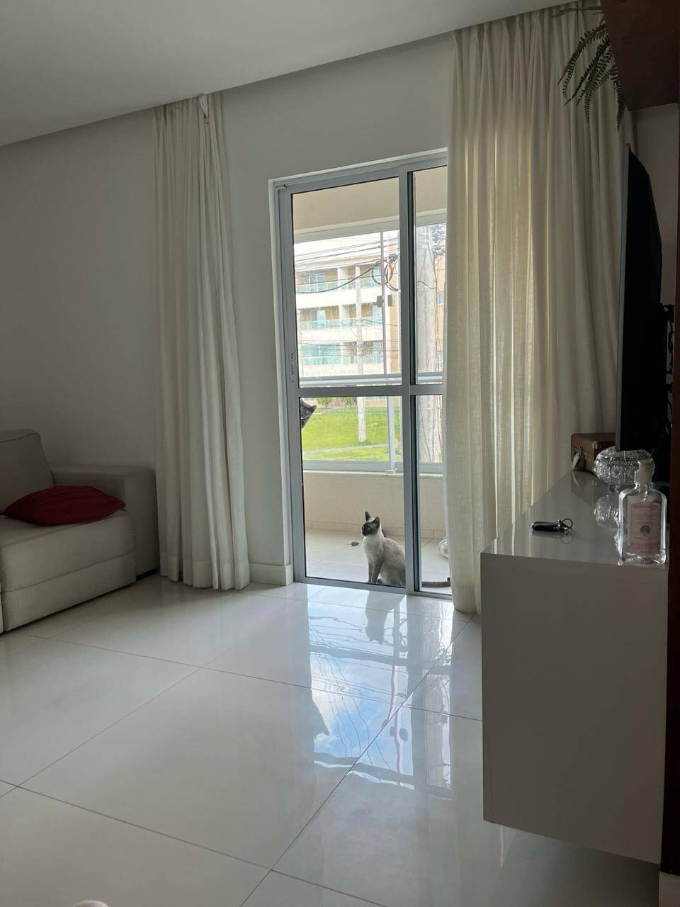 Apartamento à venda com 2 quartos - Foto 1