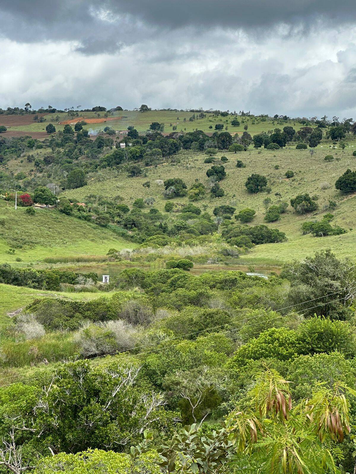 Terreno à venda com 4 quartos, 219m² - Foto 7