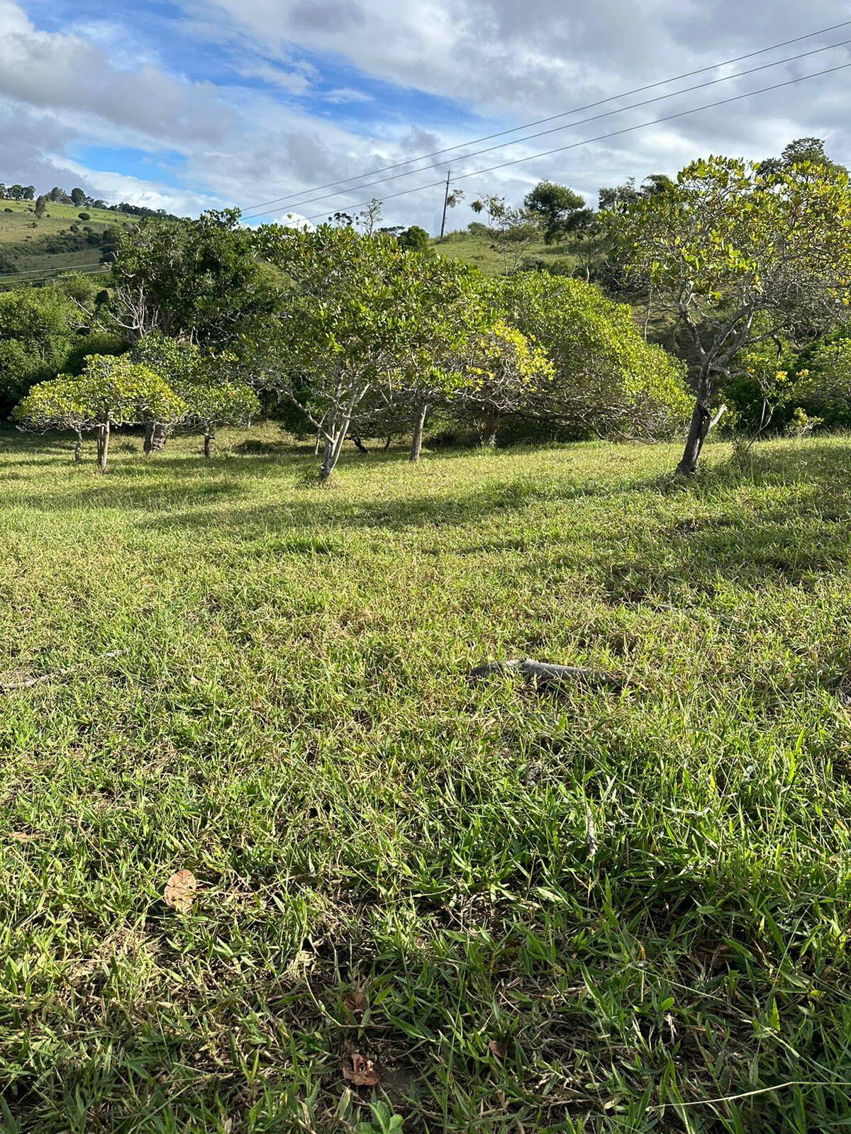 Terreno à venda com 4 quartos, 219m² - Foto 10