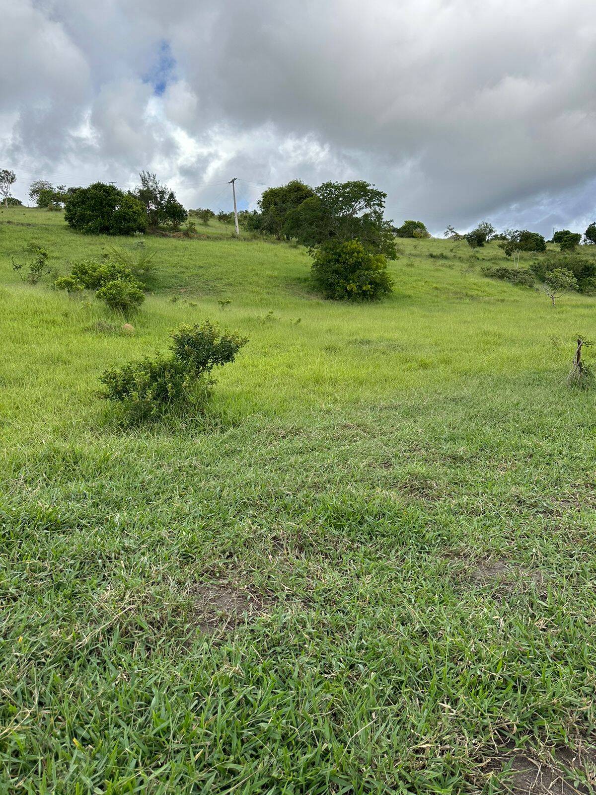 Terreno à venda com 4 quartos, 219m² - Foto 12