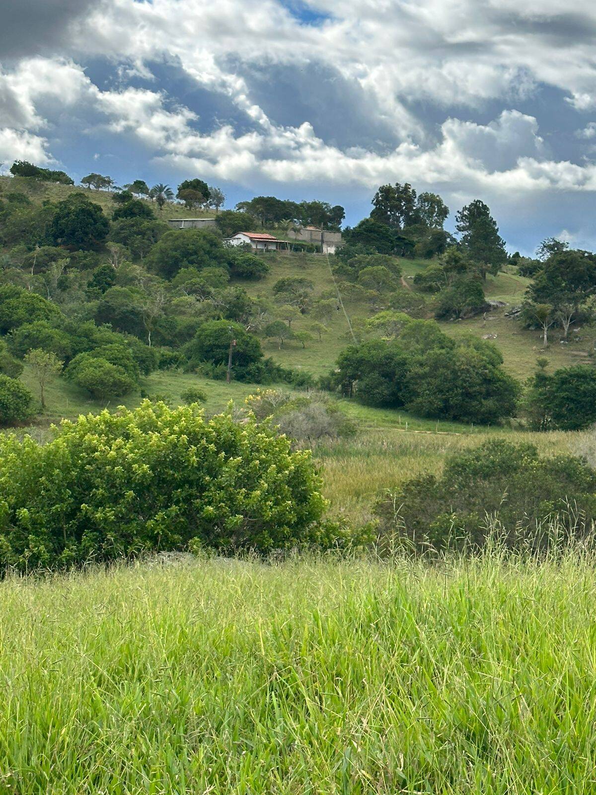 Terreno à venda com 4 quartos, 219m² - Foto 17