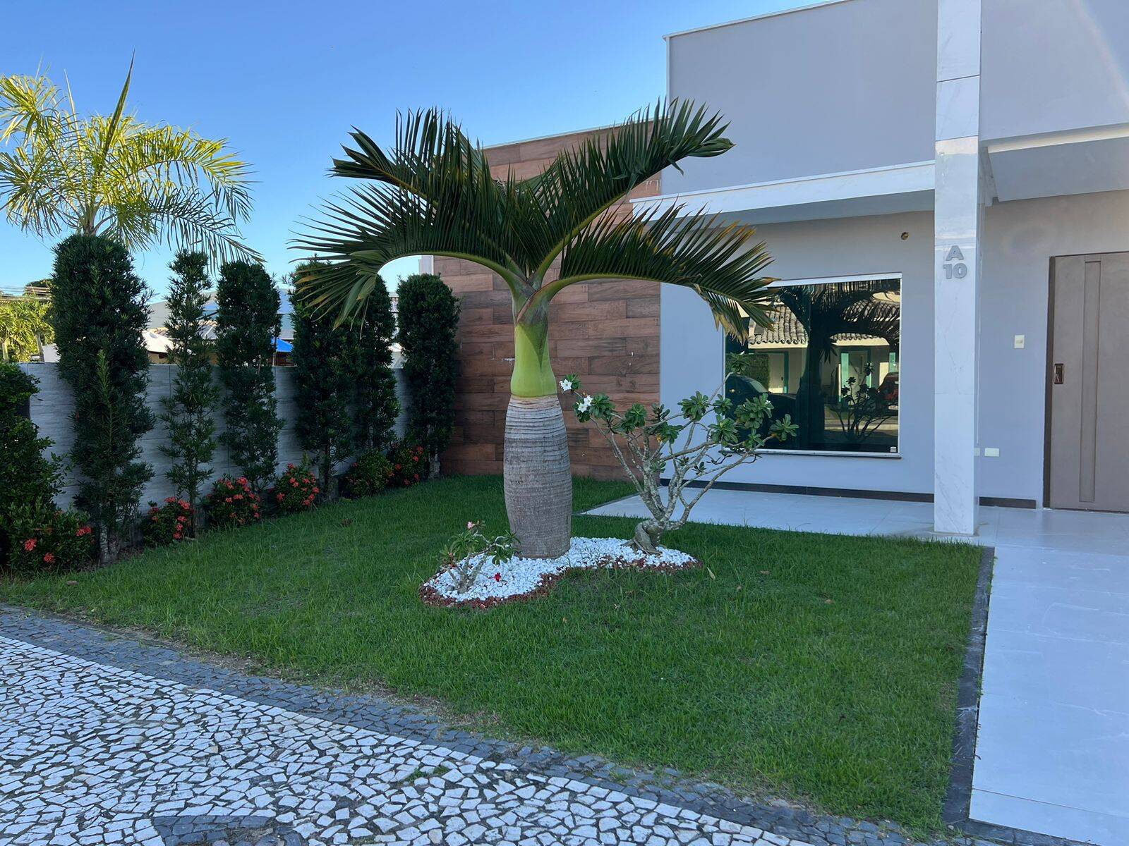 Casa para alugar com 3 quartos - Foto 48