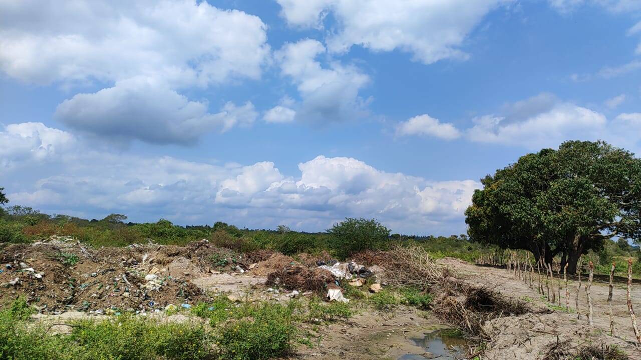 Terreno à venda - Foto 4