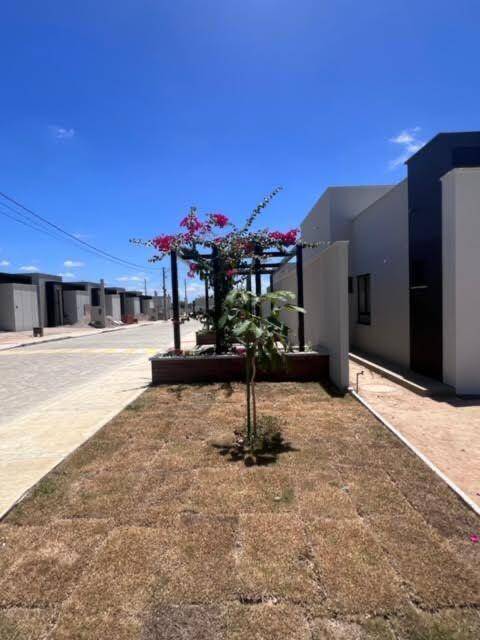 Casa à venda com 2 quartos, 60m² - Foto 12