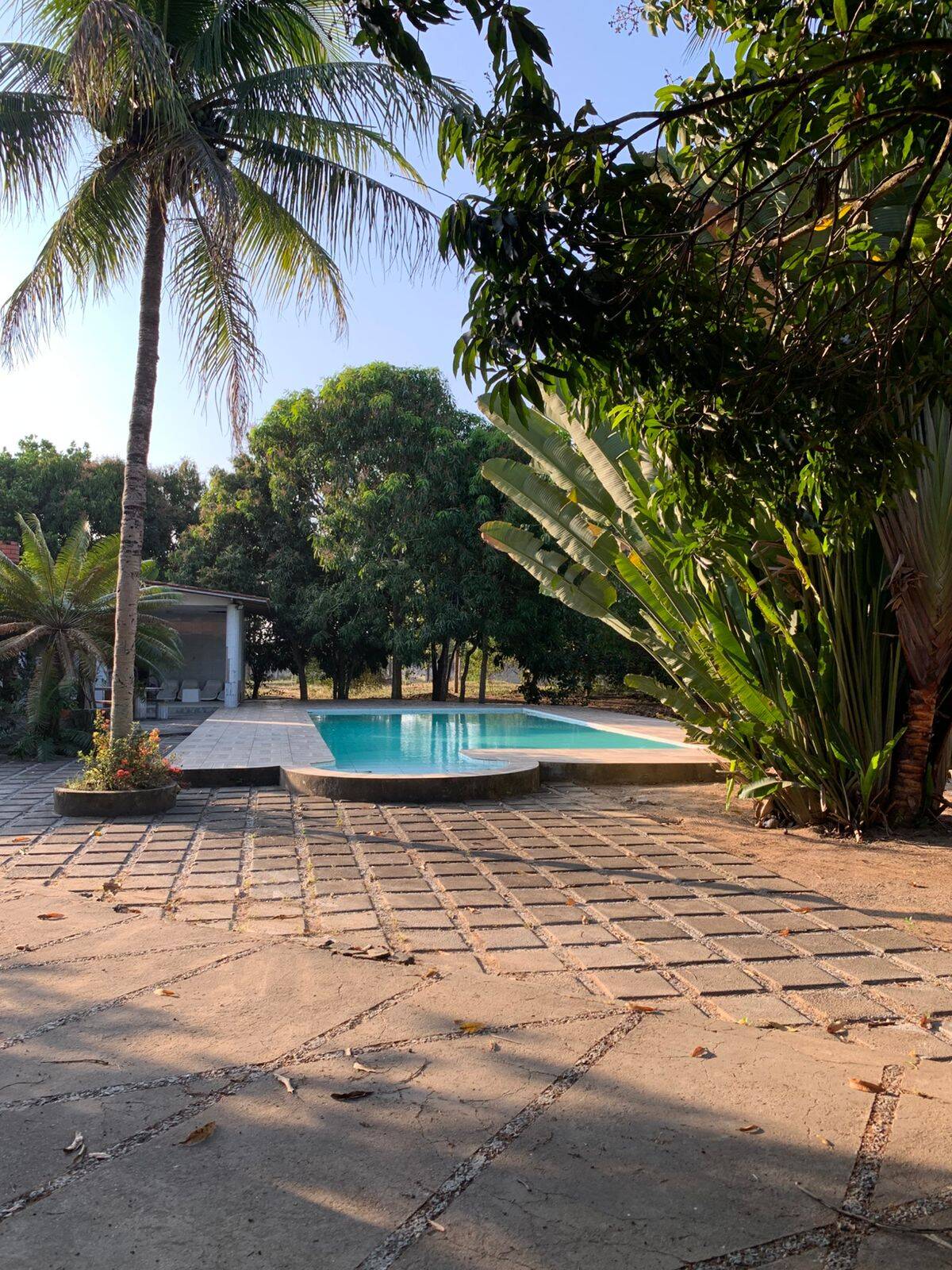 Fazenda à venda com 5 quartos, 450m² - Foto 14