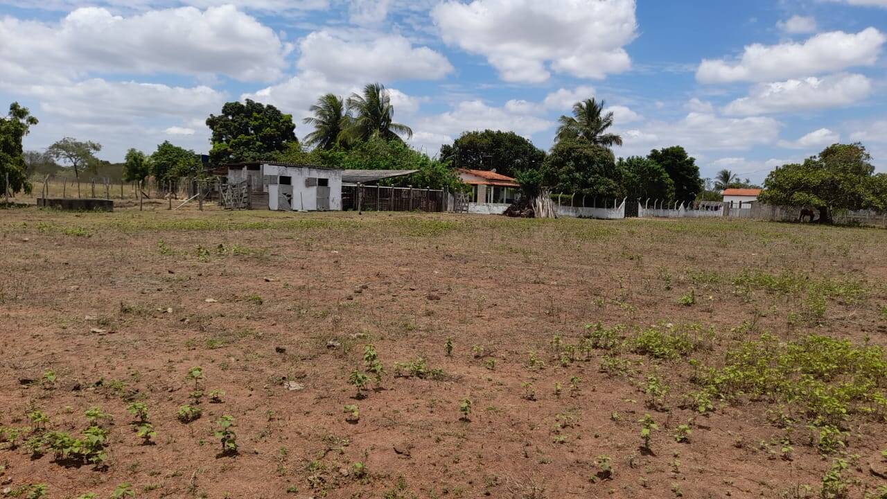 Terreno à venda com 3 quartos - Foto 3