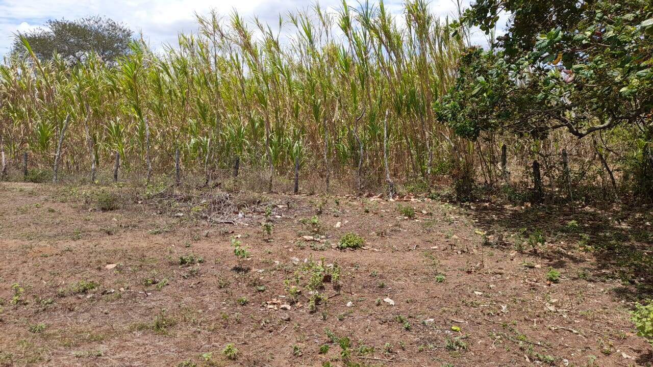 Terreno à venda com 3 quartos - Foto 5