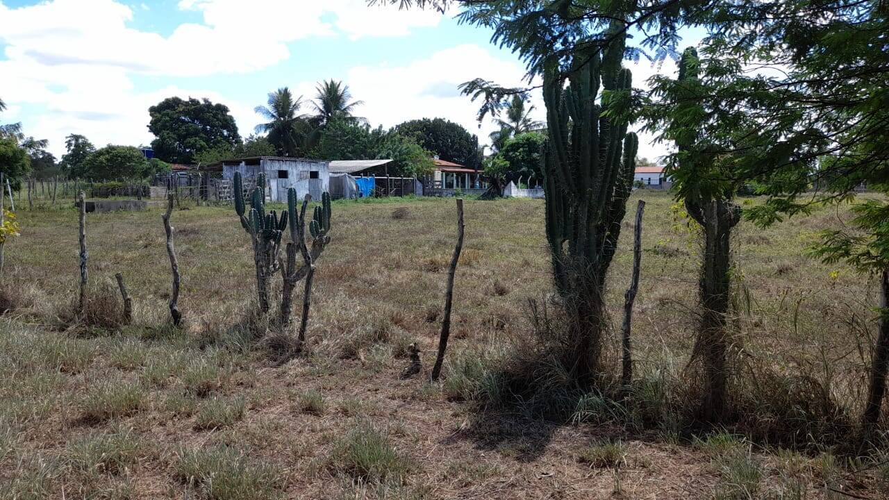 Terreno à venda com 3 quartos - Foto 6