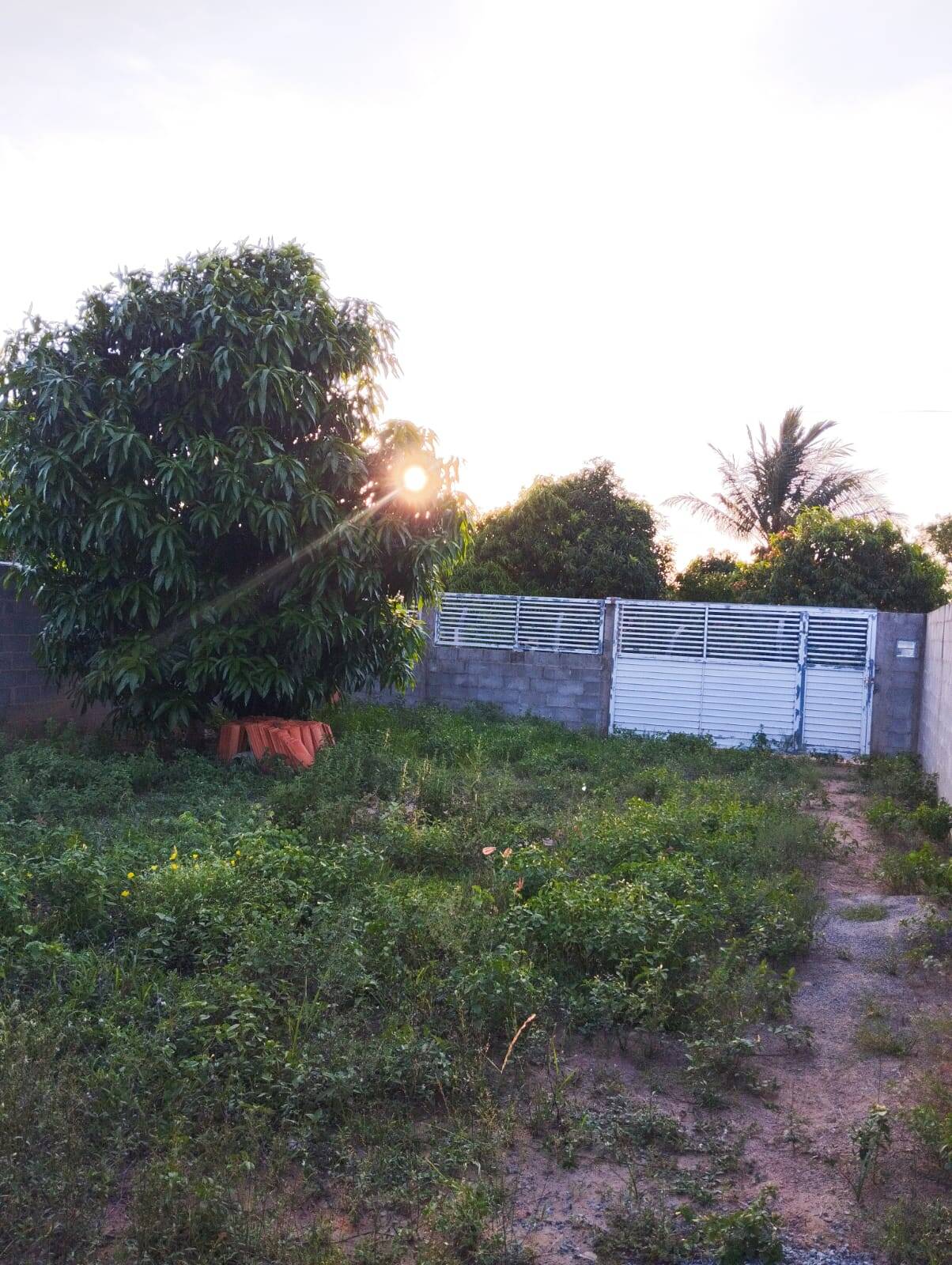 Fazenda à venda com 3 quartos, 400m² - Foto 22