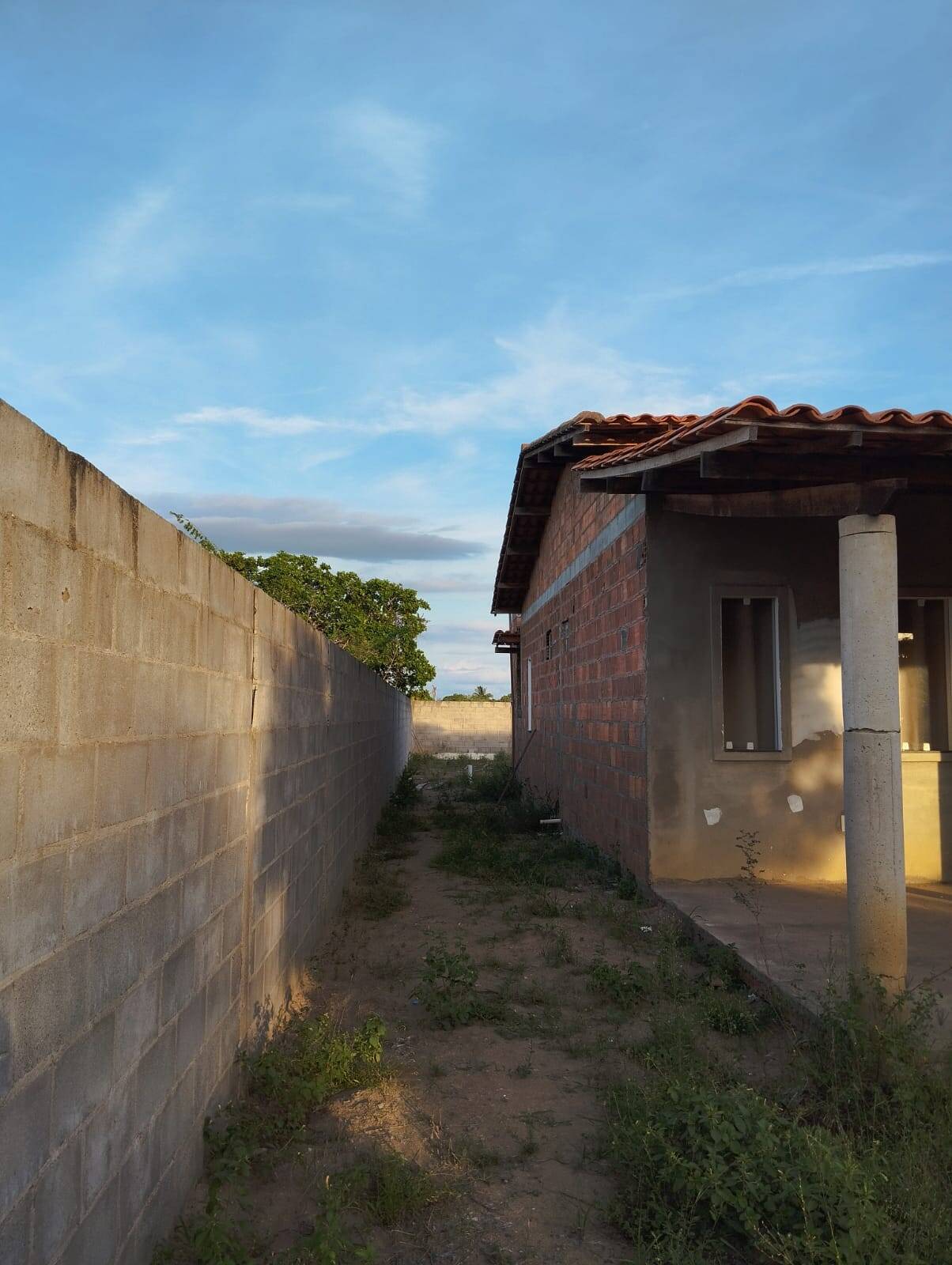 Fazenda à venda com 3 quartos, 400m² - Foto 24